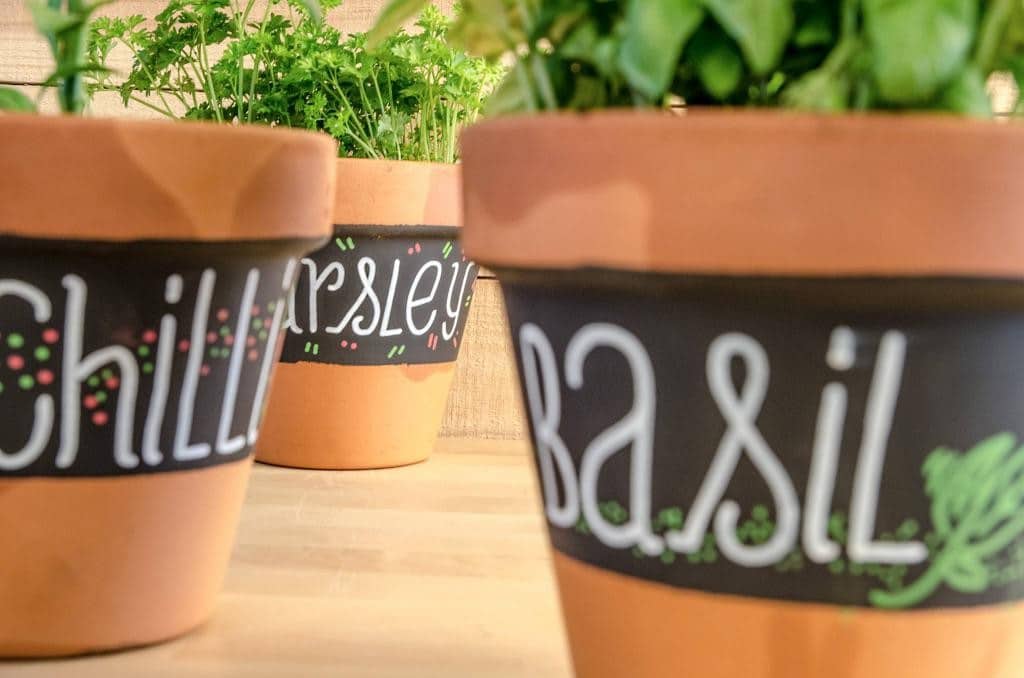 MTN Wepro Chalk Board Paint Black Bloempot Gespoten Geschreven