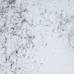 Marble effect van de Montana spuitbus in het zwart