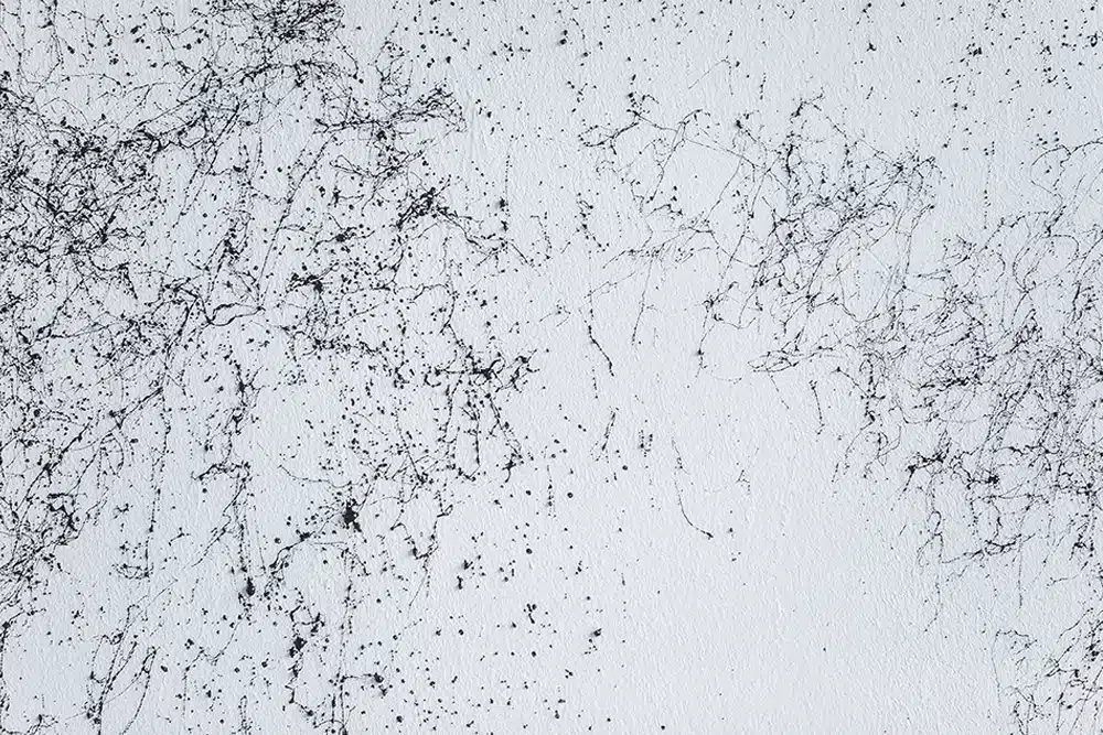 Marble effect van de Montana spuitbus in het zwart