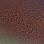 Montana Crackle voorbeeld rood