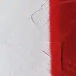 Montana Texture Spray overspuitbaar