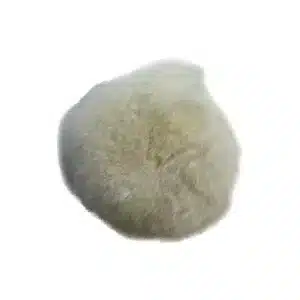 BTC Polijstpad Wol 75mm