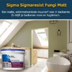 Sigma Sigmaresist Fungi Matt