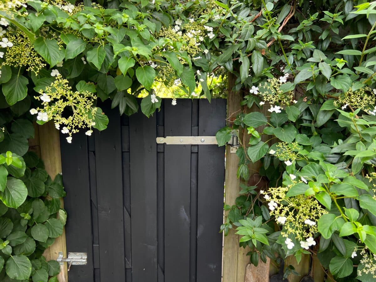 Zwarte beits op een poort