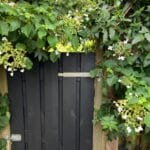 Zwarte beits op een poort