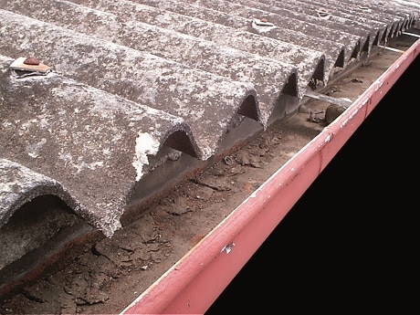 23b9f875c9628ca0b39dcef5ff7e42caad8f79a7 primer44 img1