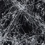 Montana Marble Effect voorbeeld donker