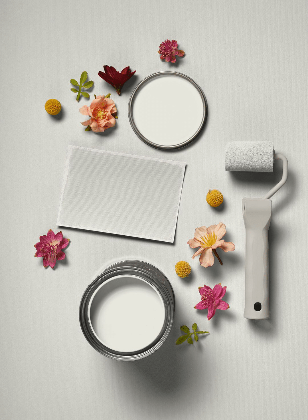 Delicate Bean Flexa Pure