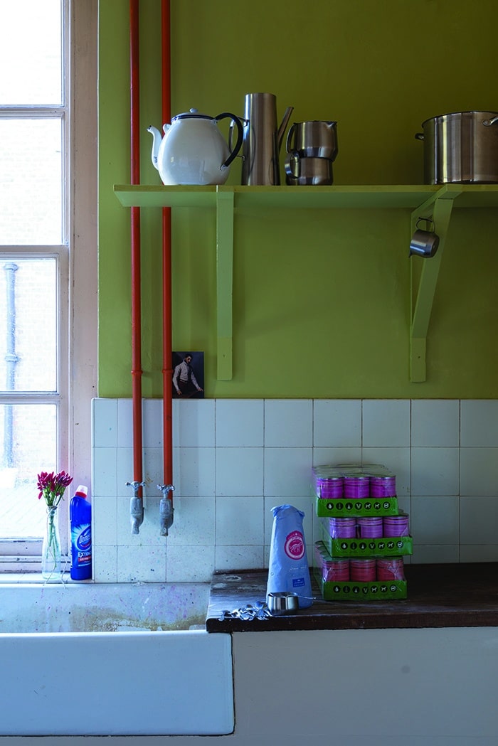 Farrow and Ball Churlish Green voorbeeld