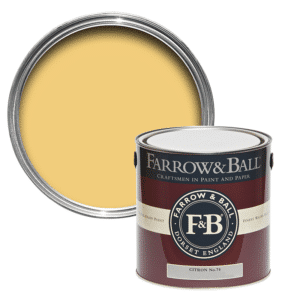 Farrow and Ball Citron No. 74