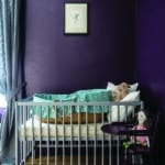 On page No.132 of How To Decorate.,,Contact agent for photography queries.