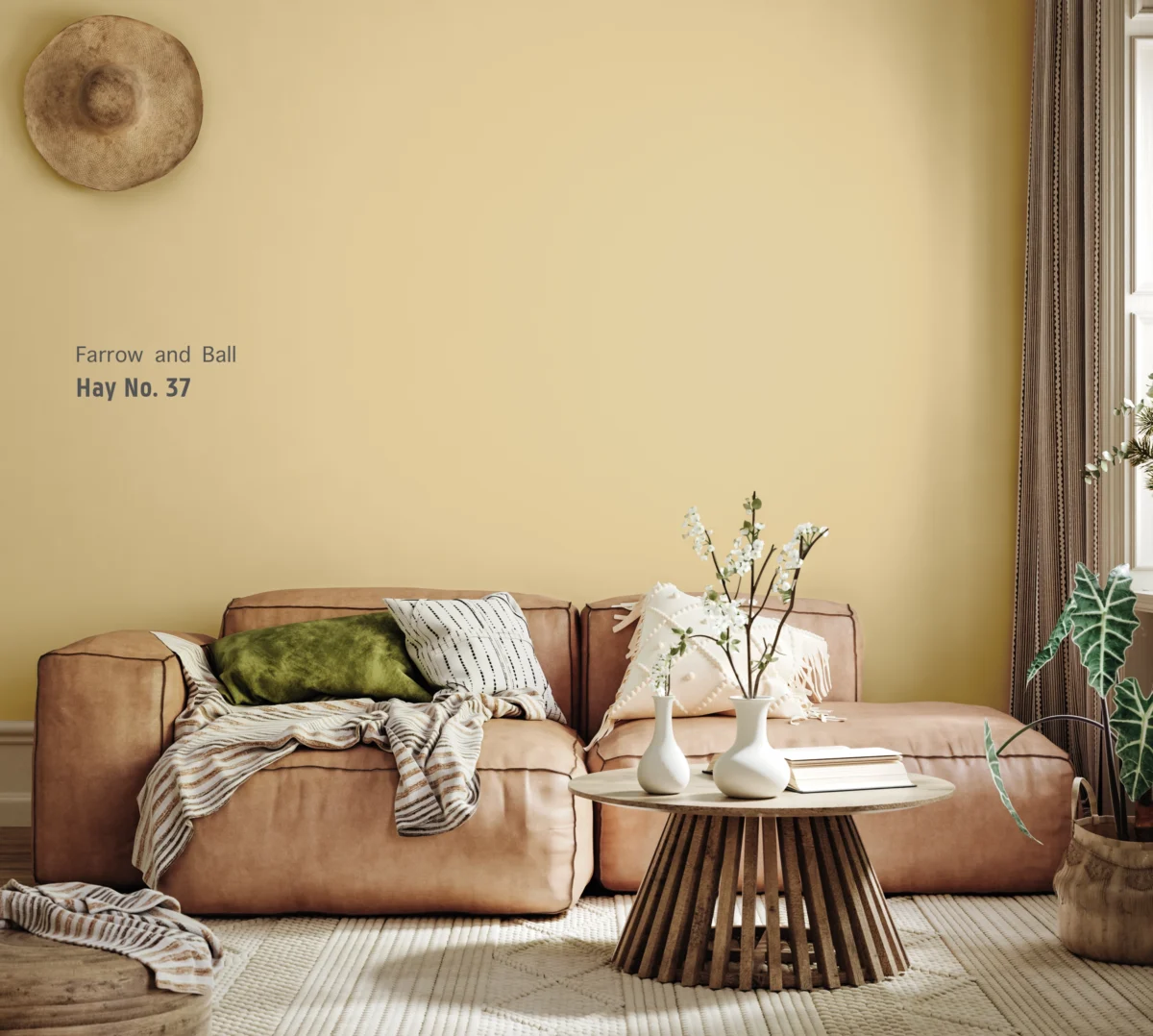 Kleur Hay van Farrow and Ball