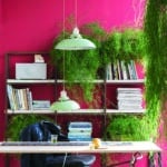 Rectory Red 217 voorbeeld