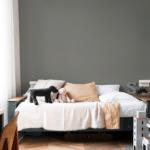 Sikkens Rijks groen grijs voorbeeld