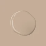 Best Beige – PPG1085 4