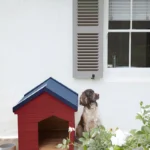 Little Greene buitenverf op terpentinebasis