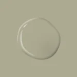 Olive Sprig – PPG1125 4