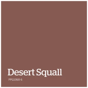 PPG1060 6 – Desert Squall