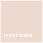 Peach Pudding – PPG1015 3