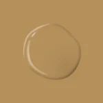 Tan Your Hide PPG1091 6