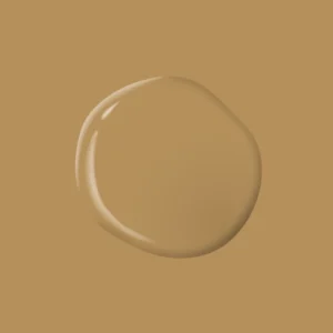 Tan Your Hide PPG1091 6