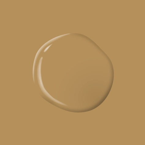 Tan Your Hide PPG1091 6