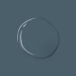 Wing Commander – PPG1040 7