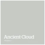 Ancient Cloud – PPG0995 2