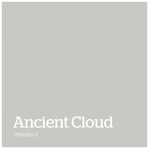 Ancient Cloud – PPG0995 2