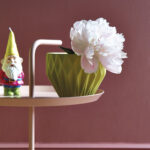 Little Green – Ashes of Roses 6