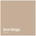 Best Beige – PPG1085 4