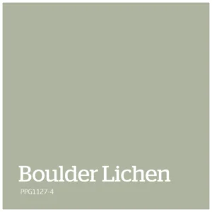 Boulder Lichen – PPG1127 4