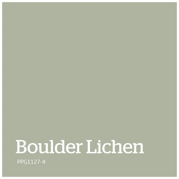 Boulder Lichen – PPG1127 4