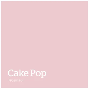 Cake Pop – PPG1048 3