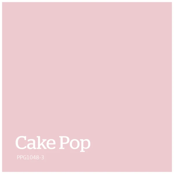 Cake Pop – PPG1048 3