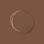 Chocolate River PPG1071 7