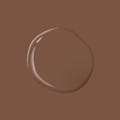 Chocolate River PPG1071 7