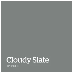 Cloudy Slate – PPG0996 4