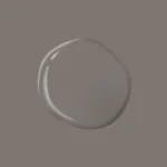 Cool Charcoal – PPG1007 6