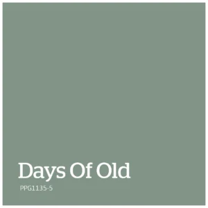 Days Of Old PPG1135 5