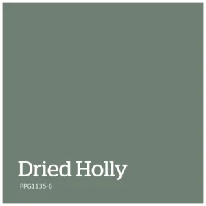 Dried Holly – PPG1135 6