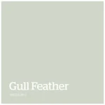 Gull Feather – PPG1129 3