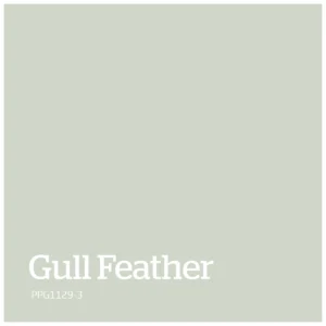 Gull Feather – PPG1129 3