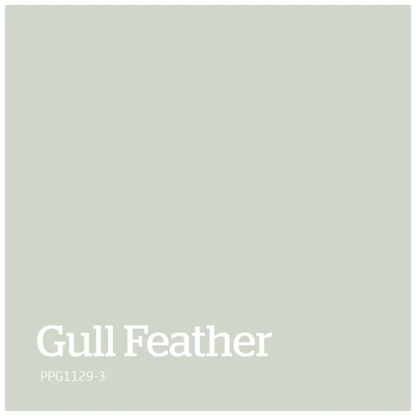 Gull Feather – PPG1129 3