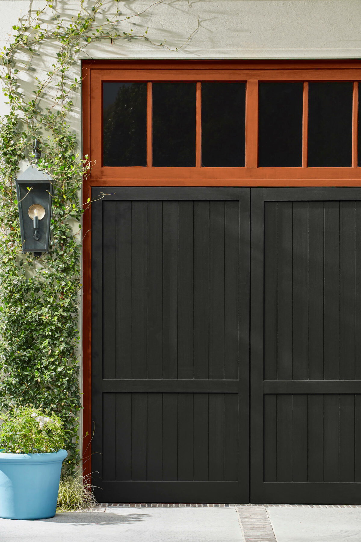 Little Green  Jack Black