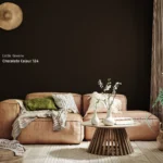 Little Greene Chocolate Colour muurverf