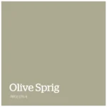Olive Sprig – PPG1125 4