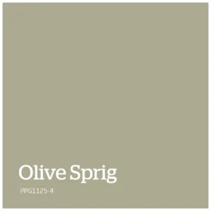 Olive Sprig – PPG1125 4