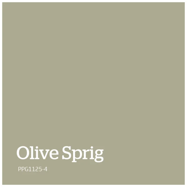 Olive Sprig – PPG1125 4