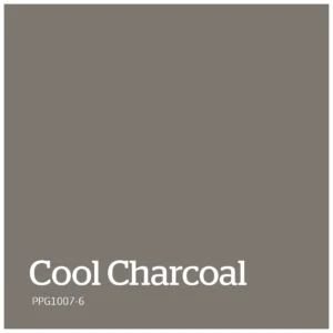 PPG1007 6 – Cool Charcoal